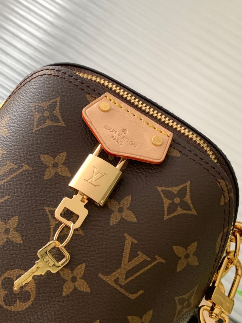 LV Satchel bags